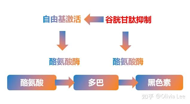 桥本甲状腺炎补硒吗（桥本甲状腺炎富硒）-硒宝网