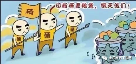 我国建议的每日补硒（每日补硒不能超过多少）-硒宝网