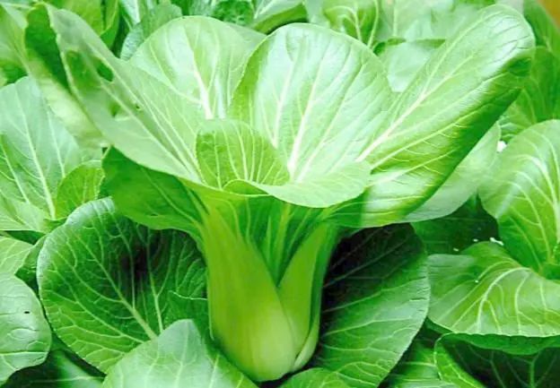 吃什么食物可以补钙(补钙能吃钙片吗)-硒宝网