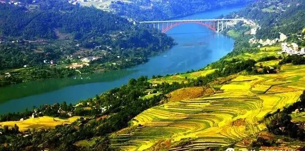 我国建议的每日补硒（国家规定每日补硒量）-硒宝网