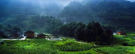 我国建议的每日补硒（国家规定每日补硒量）-硒宝网