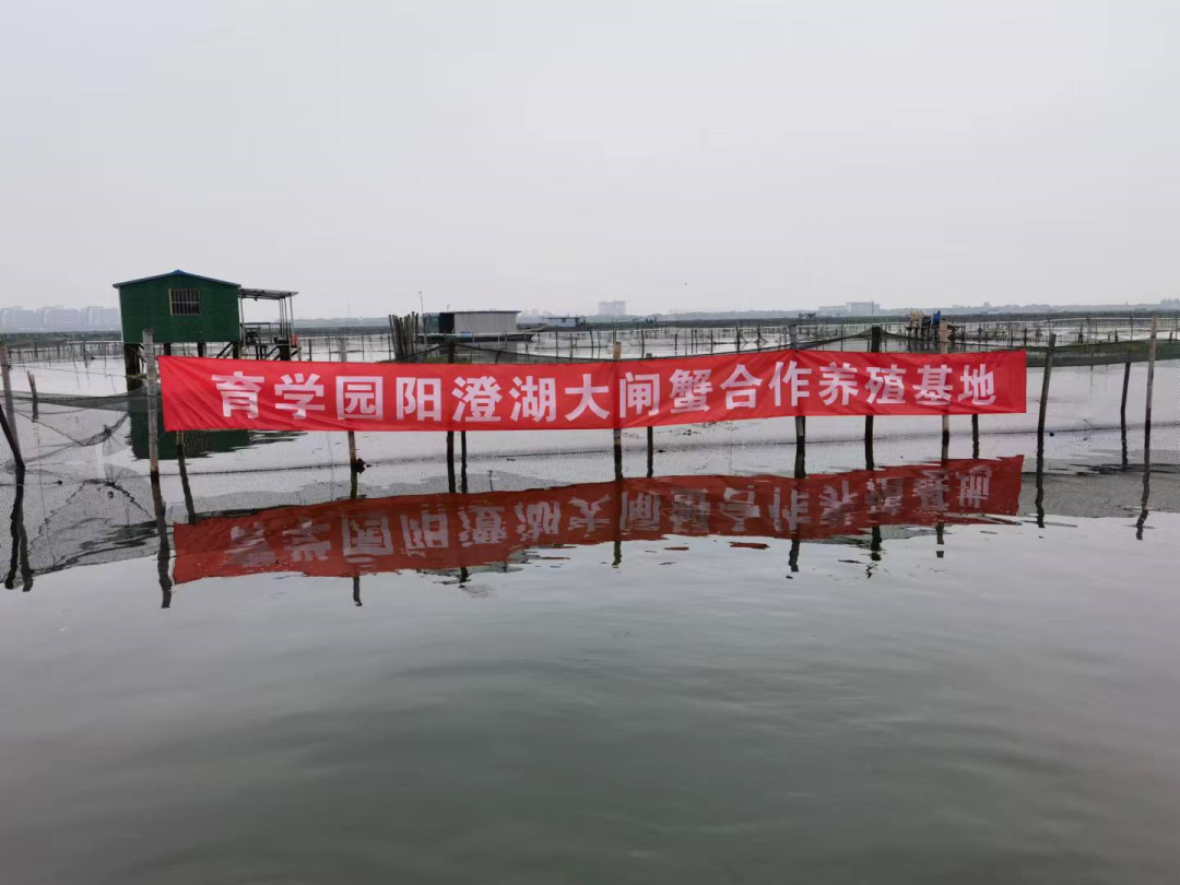 吃什么食物可以补钙（补钙能不能吃）-硒宝网