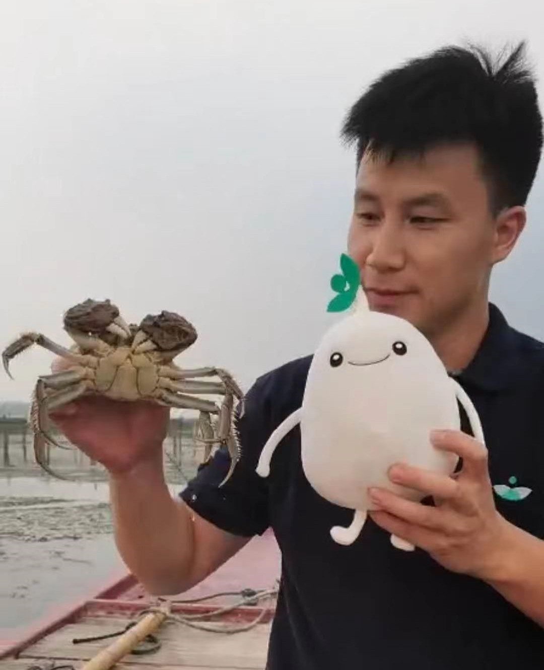 吃什么食物可以补钙（补钙能不能吃）-硒宝网