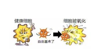 哪些人应该及时补硒（应该补硒吗）-硒宝网