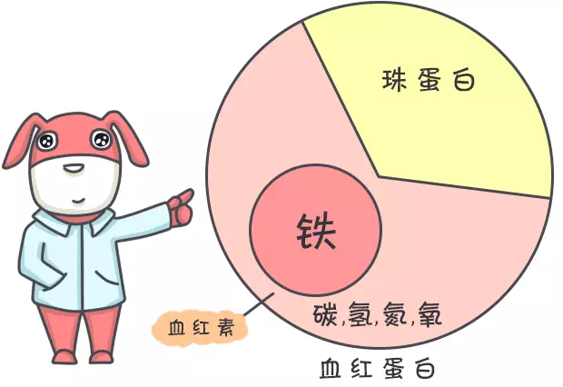 什么时候需要补硒呢(补硒需要天天补吗)-硒宝网