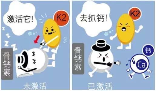 吃什么补钙效果最好（补钙是吃钙片好还是食补好）-硒宝网