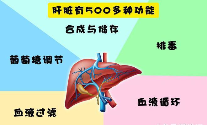 排骨炖菠菜能补硒吗(菠菜排骨汤营养价值)-硒宝网