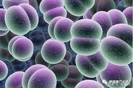 每天少量补硒可以吗（硒能天天补吗）-硒宝网