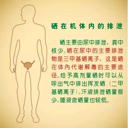 每天少量补硒可以吗（每天少量补硒可以吗女性）-硒宝网