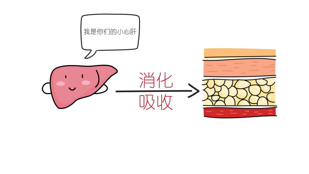 补硒会引起尿潜血吗(尿隐血和尿潜血一样吗)-硒宝网