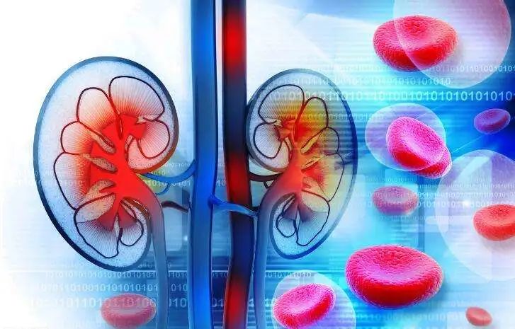 补硒会引起尿潜血吗(尿隐血和尿潜血一样吗)-硒宝网