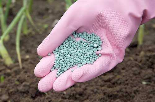 为什么国家禁止查微量元素(国家禁止查微量元素文件)-硒宝网