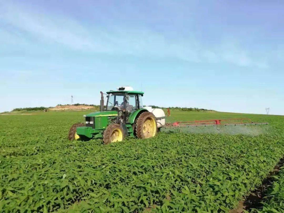 为什么国家禁止查微量元素(国家禁止查微量元素文件)-硒宝网