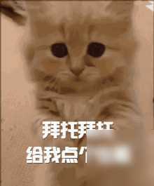 什么蔬菜补维生素硒(蔬菜维生素补硒吗)-硒宝网