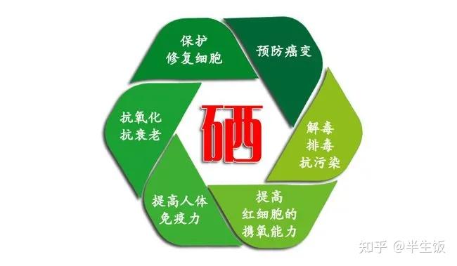 乙肝补硒元素对照表(乙肝补硒的真实案例)-硒宝网