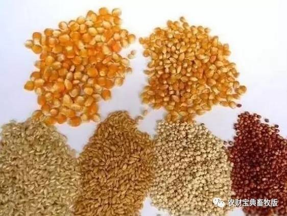 为什么国家禁止查微量元素(国家禁止检查微量元素)-硒宝网