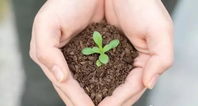 乙肝补硒元素对照表（硒元素对乙肝病毒有效果吗）-硒宝网