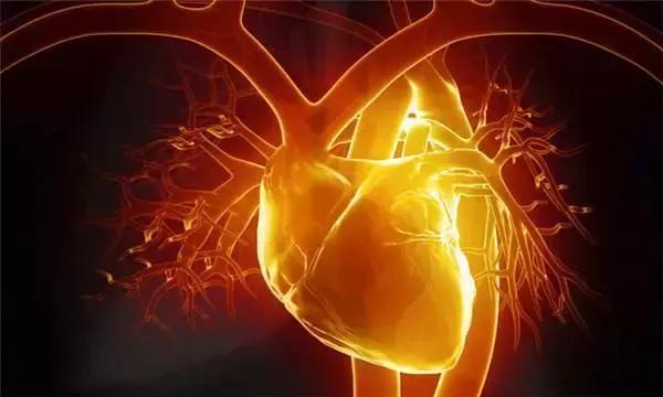 桥本甲减硒要补多久（桥本氏甲减补硒）-硒宝网