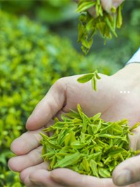 来月经时可以补硒吗(例假期可以吃硒片吗)-硒宝网