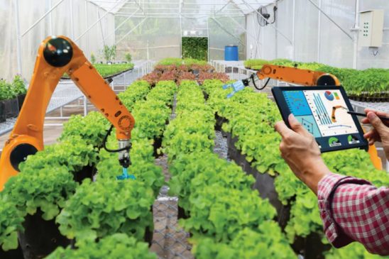 哪款补锌补硒产品好(补硒和锌的食物有哪些)-硒宝网