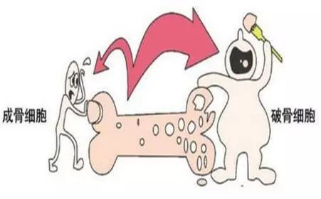 老年女性补钙吃什么钙片好（老年妇女吃钙片好吗）-硒宝网