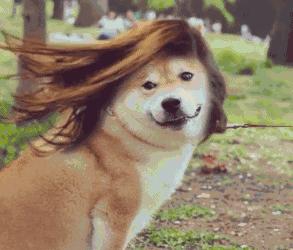 补硒的效果最好的药(补硒的药有害处吗)-硒宝网