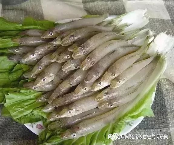 平时补点锌硒的坏处（锌硒补充）-硒宝网