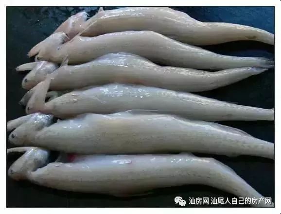 平时补点锌硒的坏处（锌硒补充）-硒宝网