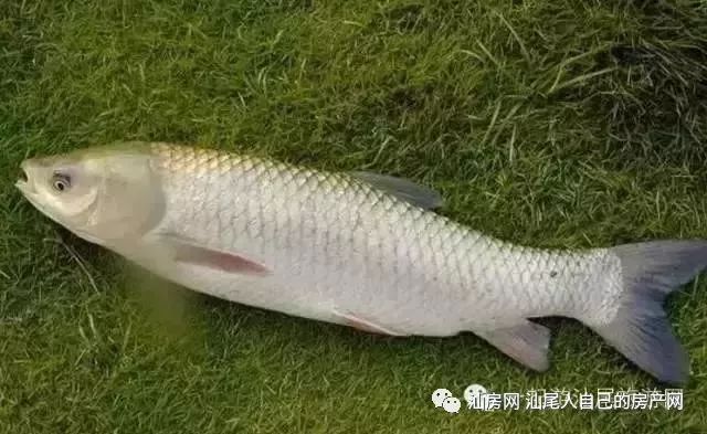 平时补点锌硒的坏处（锌硒补充）-硒宝网