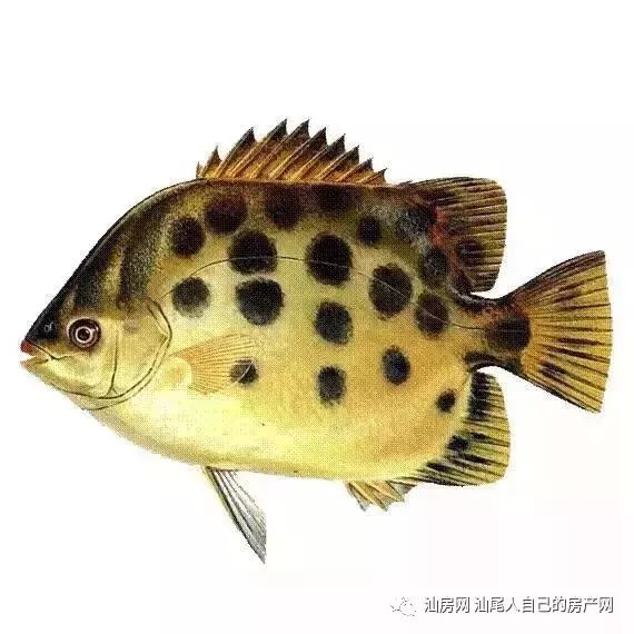 平时补点锌硒的坏处（锌硒补充）-硒宝网