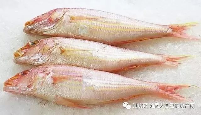 平时补点锌硒的坏处（锌硒补充）-硒宝网