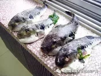 平时补点锌硒的坏处（锌硒补充）-硒宝网