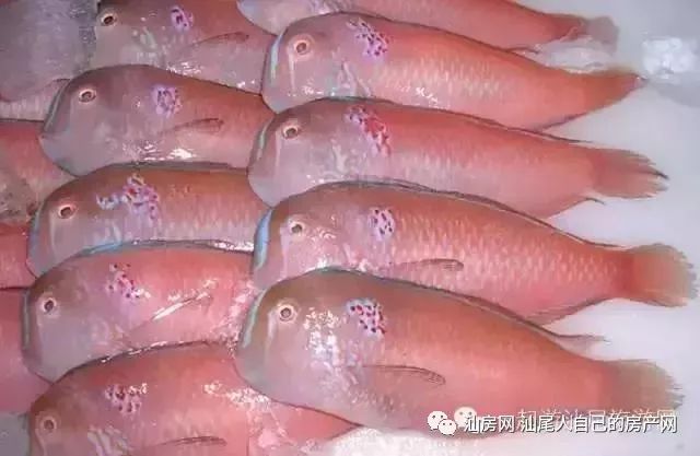 平时补点锌硒的坏处（锌硒补充）-硒宝网