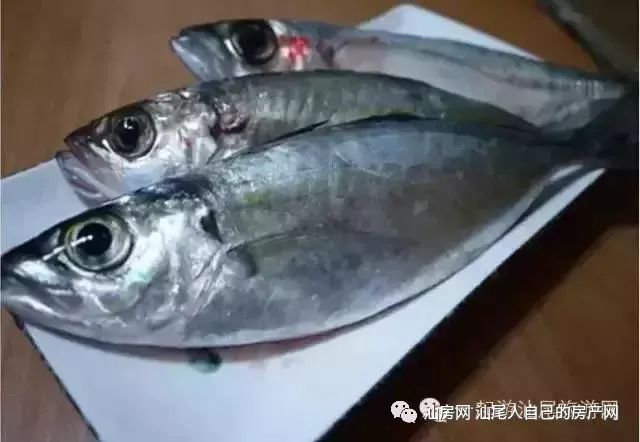 平时补点锌硒的坏处（锌硒补充）-硒宝网