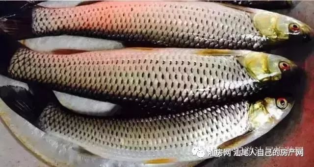 平时补点锌硒的坏处（锌硒补充）-硒宝网