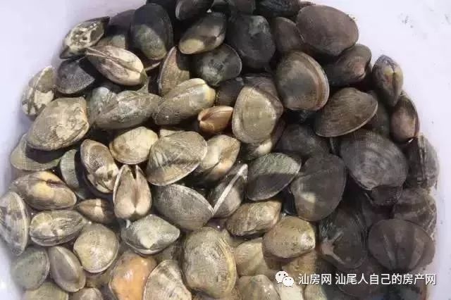 平时补点锌硒的坏处（锌硒补充）-硒宝网