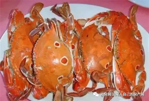 平时补点锌硒的坏处（锌硒补充）-硒宝网