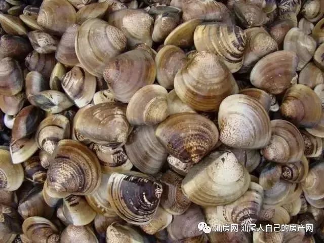 平时补点锌硒的坏处（锌硒补充）-硒宝网