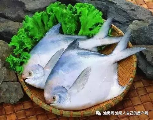 平时补点锌硒的坏处（锌硒补充）-硒宝网