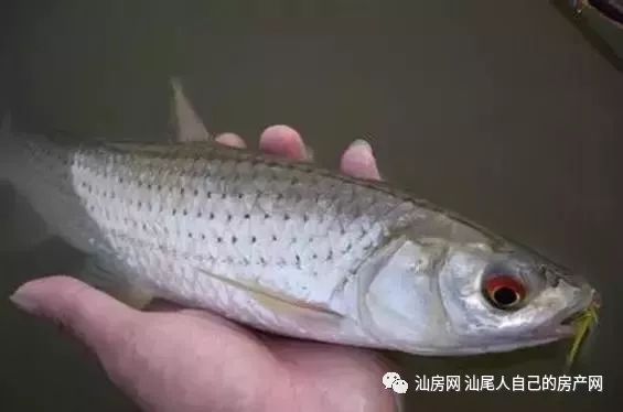 平时补点锌硒的坏处（锌硒补充）-硒宝网