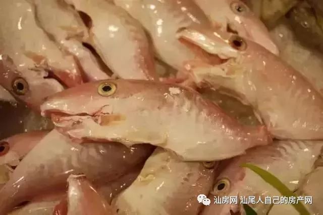 平时补点锌硒的坏处（锌硒补充）-硒宝网