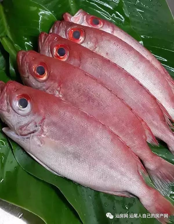 平时补点锌硒的坏处（锌硒补充）-硒宝网