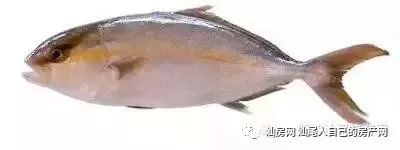 平时补点锌硒的坏处（锌硒补充）-硒宝网