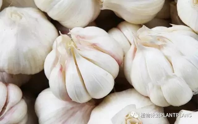 吃啥补硒好处和坏处（补充硒有副作用吗）-硒宝网