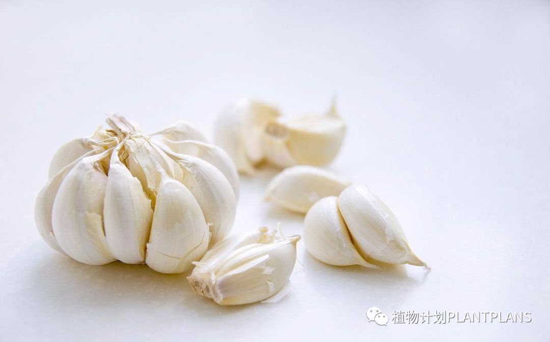 吃啥补硒好处和坏处（补充硒有副作用吗）-硒宝网