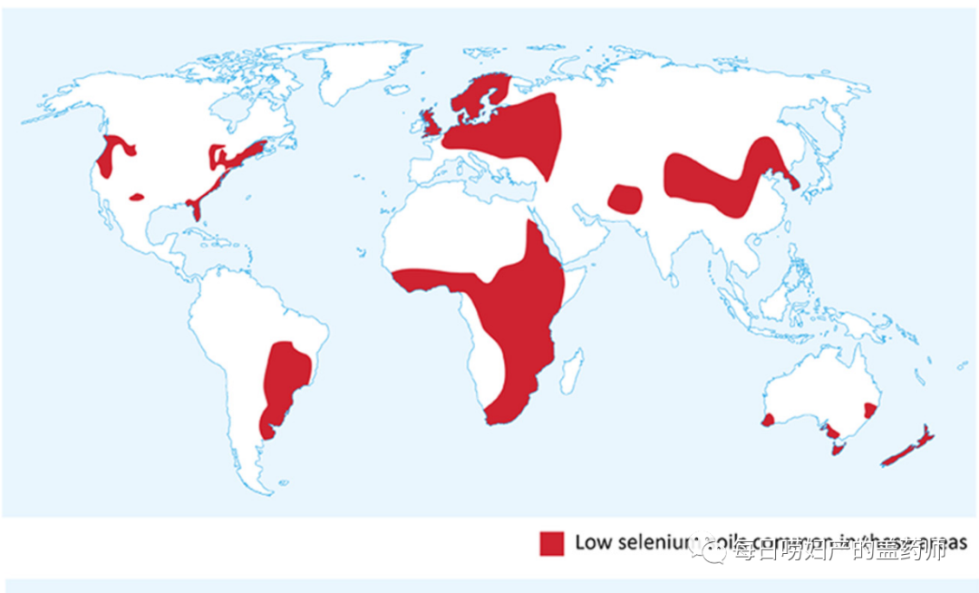 补硒的医保类有哪些（补硒药品的价格查询）-硒宝网