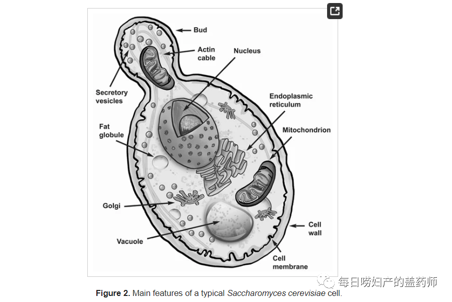 补硒的医保类有哪些（补硒药品的价格查询）-硒宝网