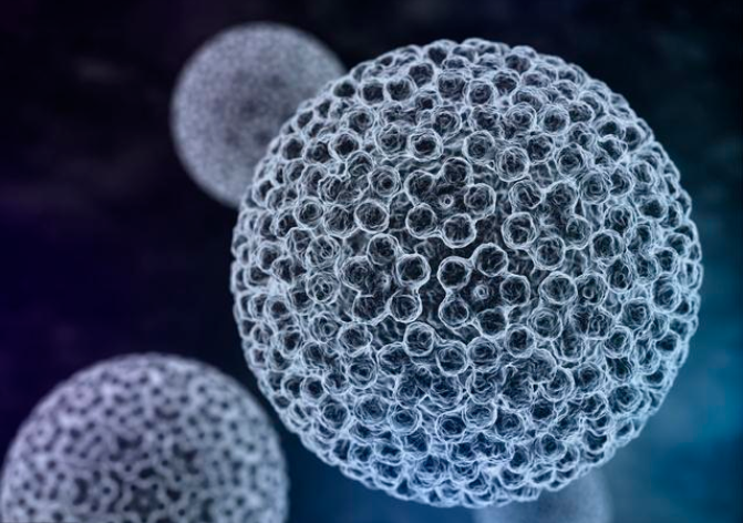 肾移植后可以补硒吗(肾移植补钙可以吃钙片吗)-硒宝网