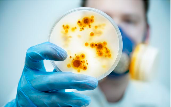 肾移植后可以补硒吗(肾移植补钙可以吃钙片吗)-硒宝网