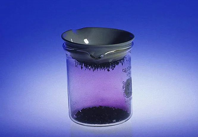 碘是几号元素（碘元素是微量元素吗）-硒宝网